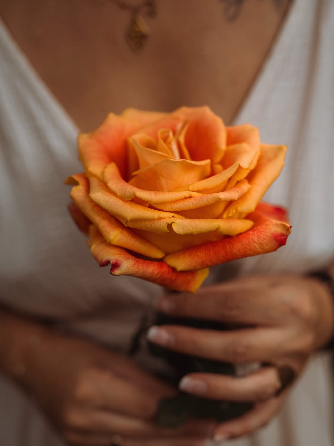 Dans mes mains, la rose orange.
Elle porte en elle le feu,
la force de l’élan,
le désir.
Elle parle de cette flamme
que