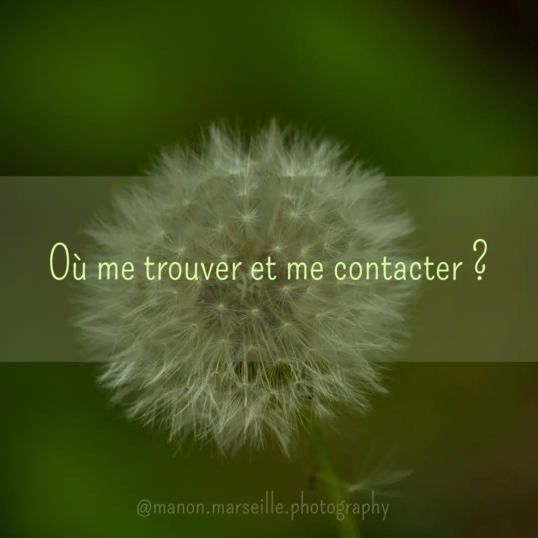 En savoir un peu plus sur moi ! 
Où me trouver et me contacter ? 
Tous les liens sont en bio !

#photographe #photograph