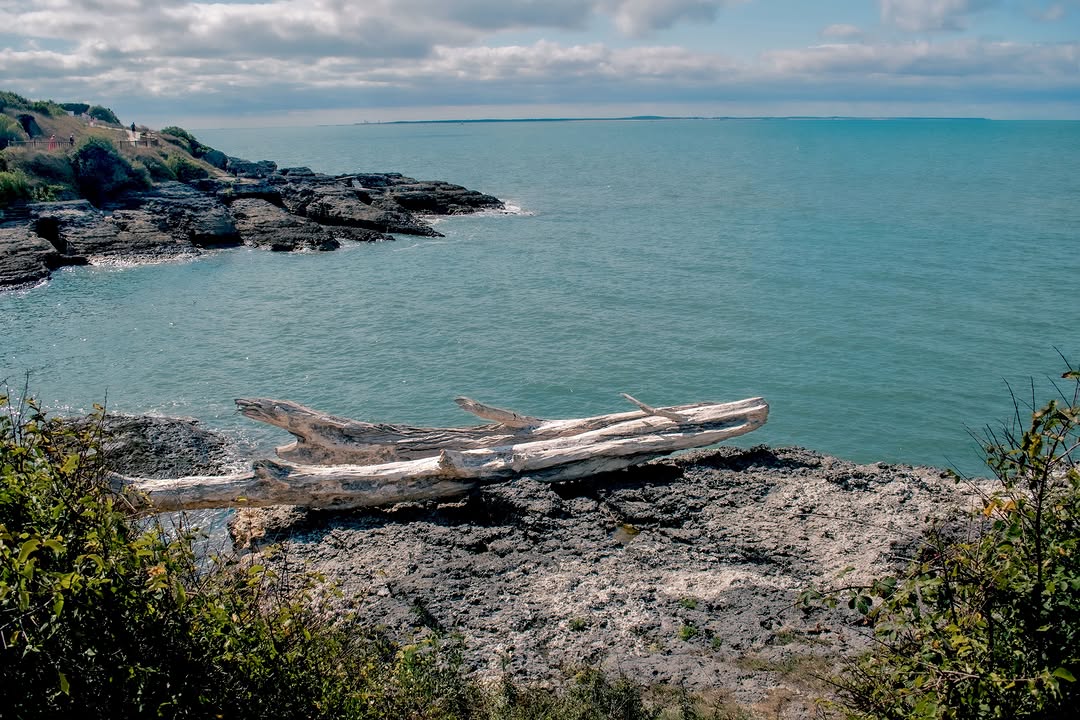 Là où la mer laisse des traces ~ 

Je me suis arrêté devant cette scène sans vraiment chercher à la construire.

Un morc