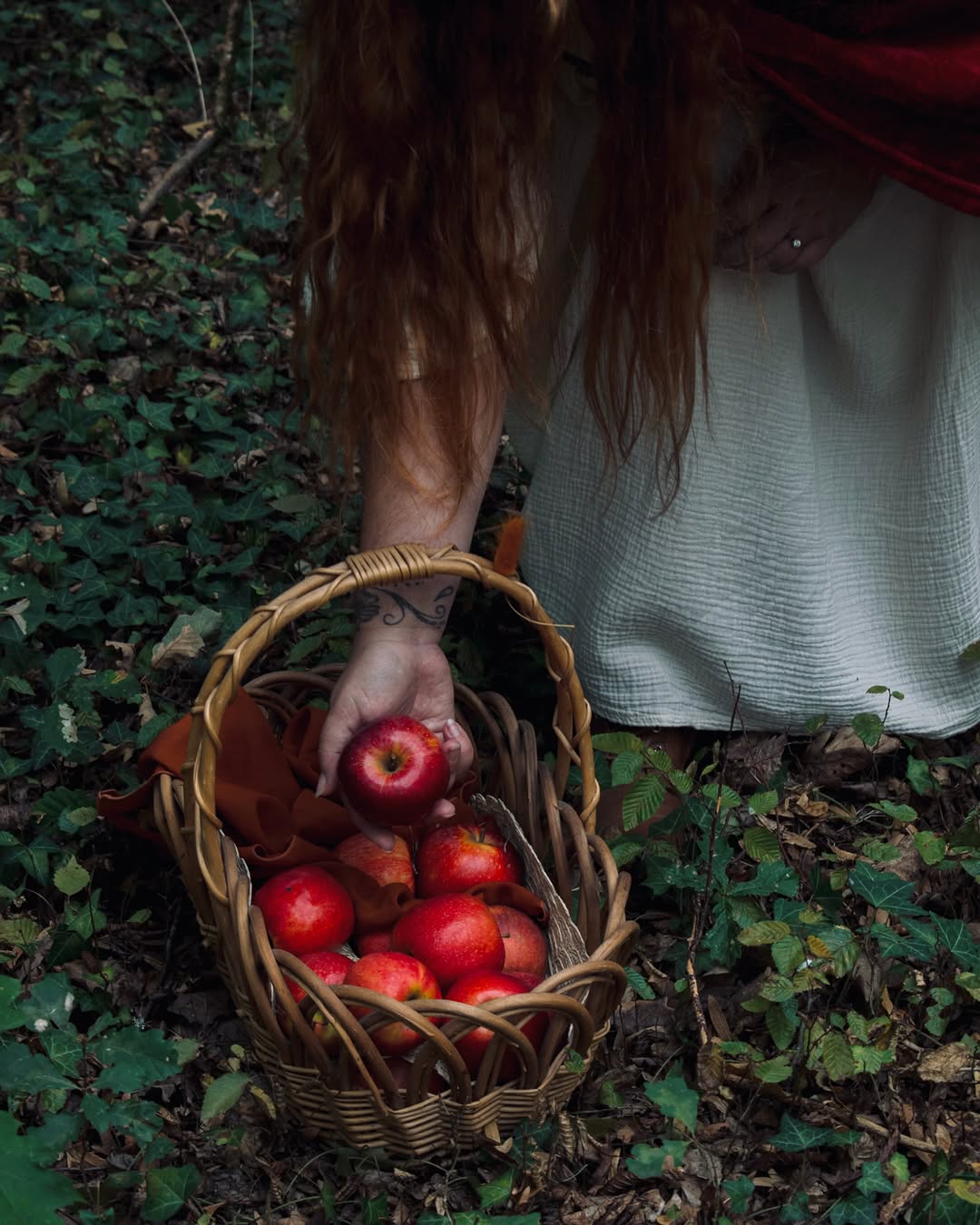 Le Petit Chaperon Rouge ~ ( Chapitre 1) ❤️🐺

Une silhouette vêtue de rouge.
Un panier à la main.

Une forêt mystérieuse
