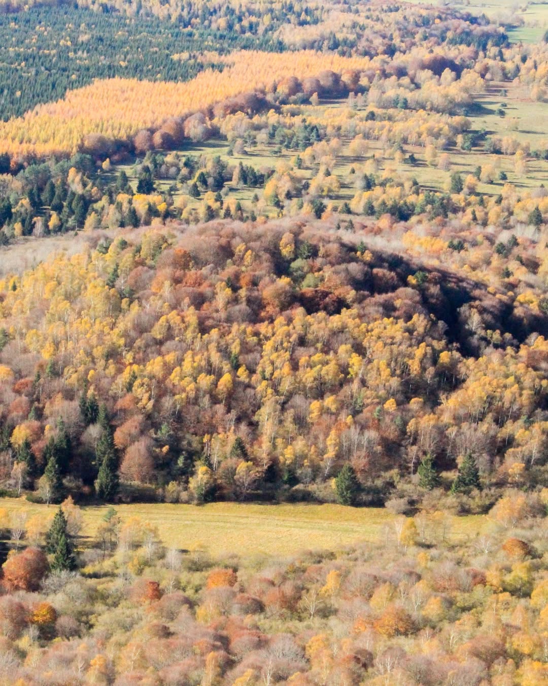 En automne, la chaîne des Puys se pare d’or et de cuivre. Hêtraies flamboyantes, volcans endormis et sentiers à perte de