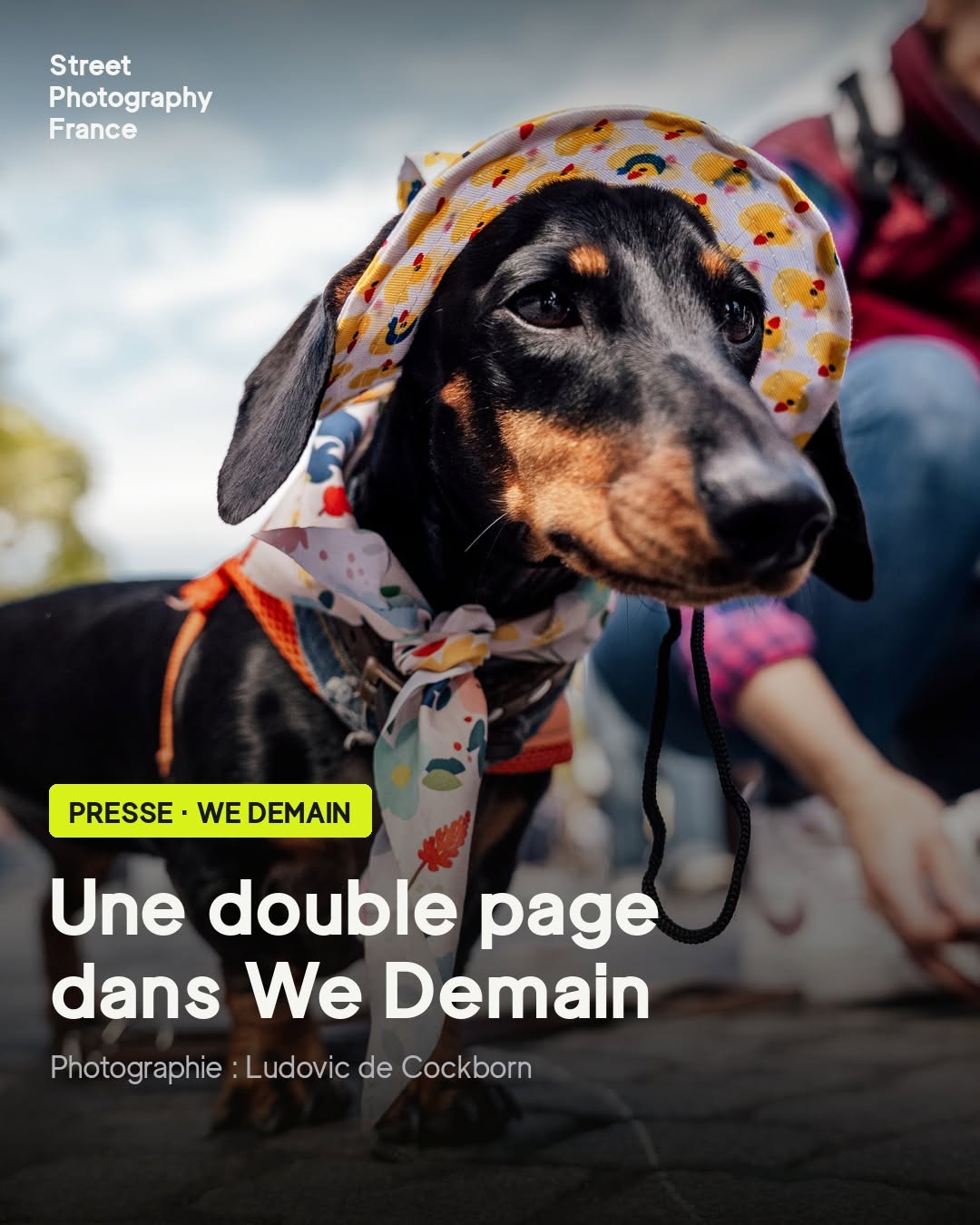 🎉 Une double page dans We Demain !

Nous sommes fiers d’annoncer qu’une photographie de Ludovic de Cockborn — membre de