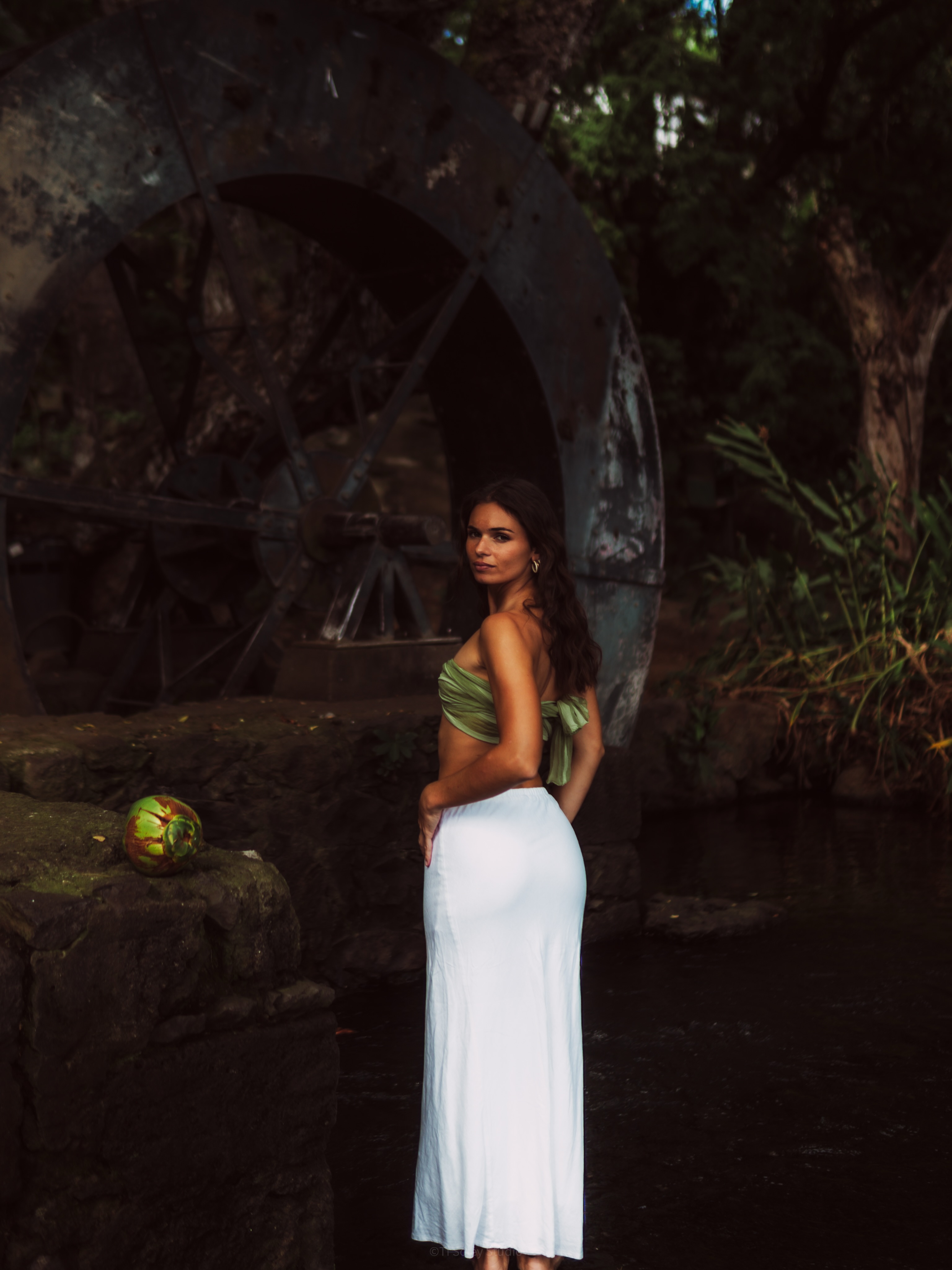 🌿 @fnydp2b 

-

Tisoleystudio | photographe 974 • portrait • couple • grossesse • mariage • baptême