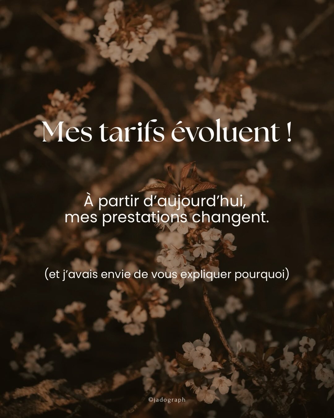 Depuis bientôt 2 ans, mon activité évolue avec moi.

Quand j’ai commencé, mes tarifs étaient pensés pour mes débuts : ap