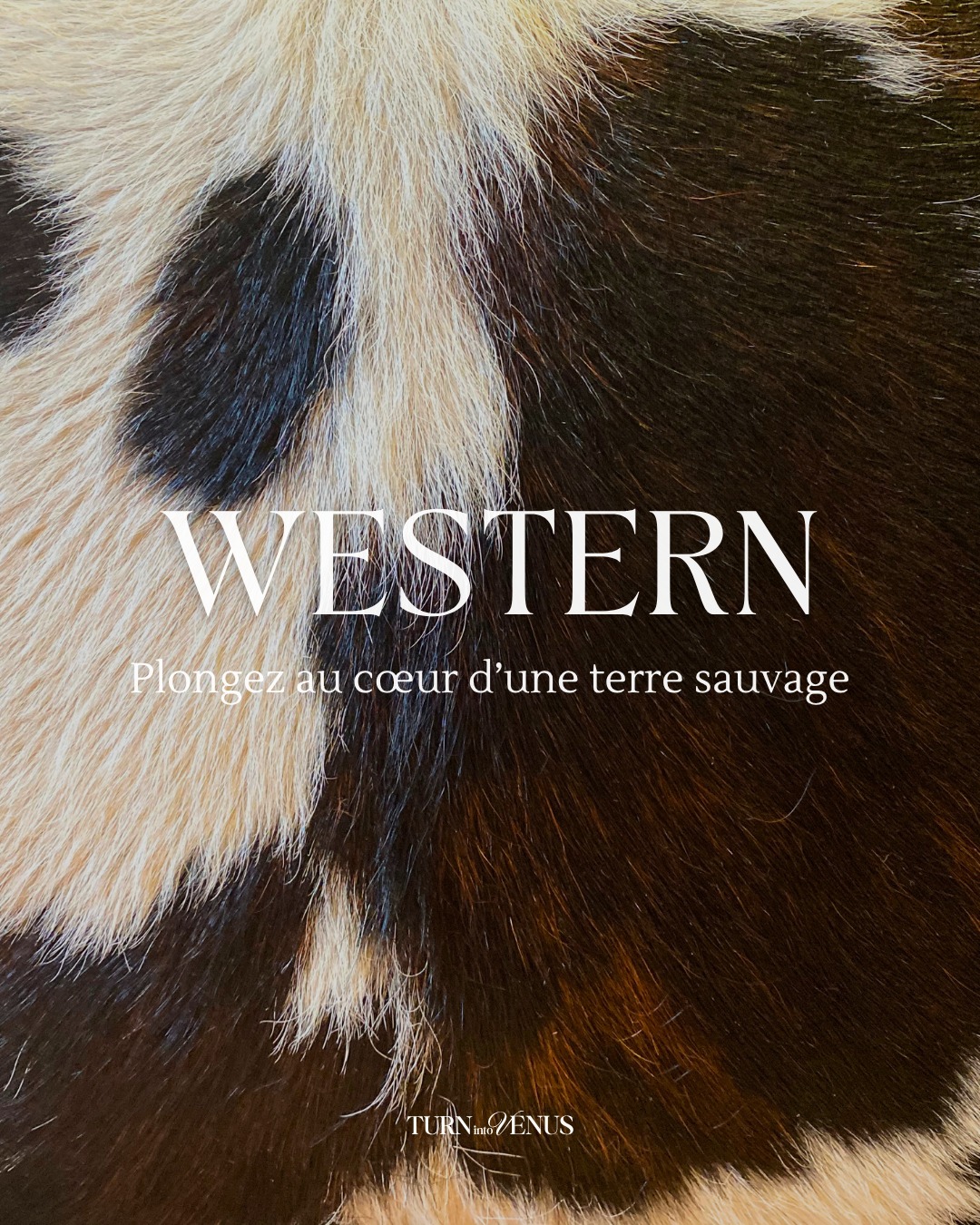 🌵 WESTERN — LES RÉSERVATIONS SONT OUVERTES

Plongez au cœur d’une terre sauvage, entre cuir, liberté et grands espaces.