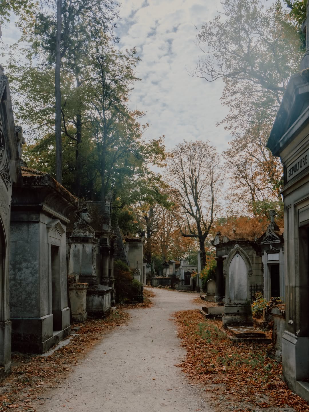 👻🍂🪦
