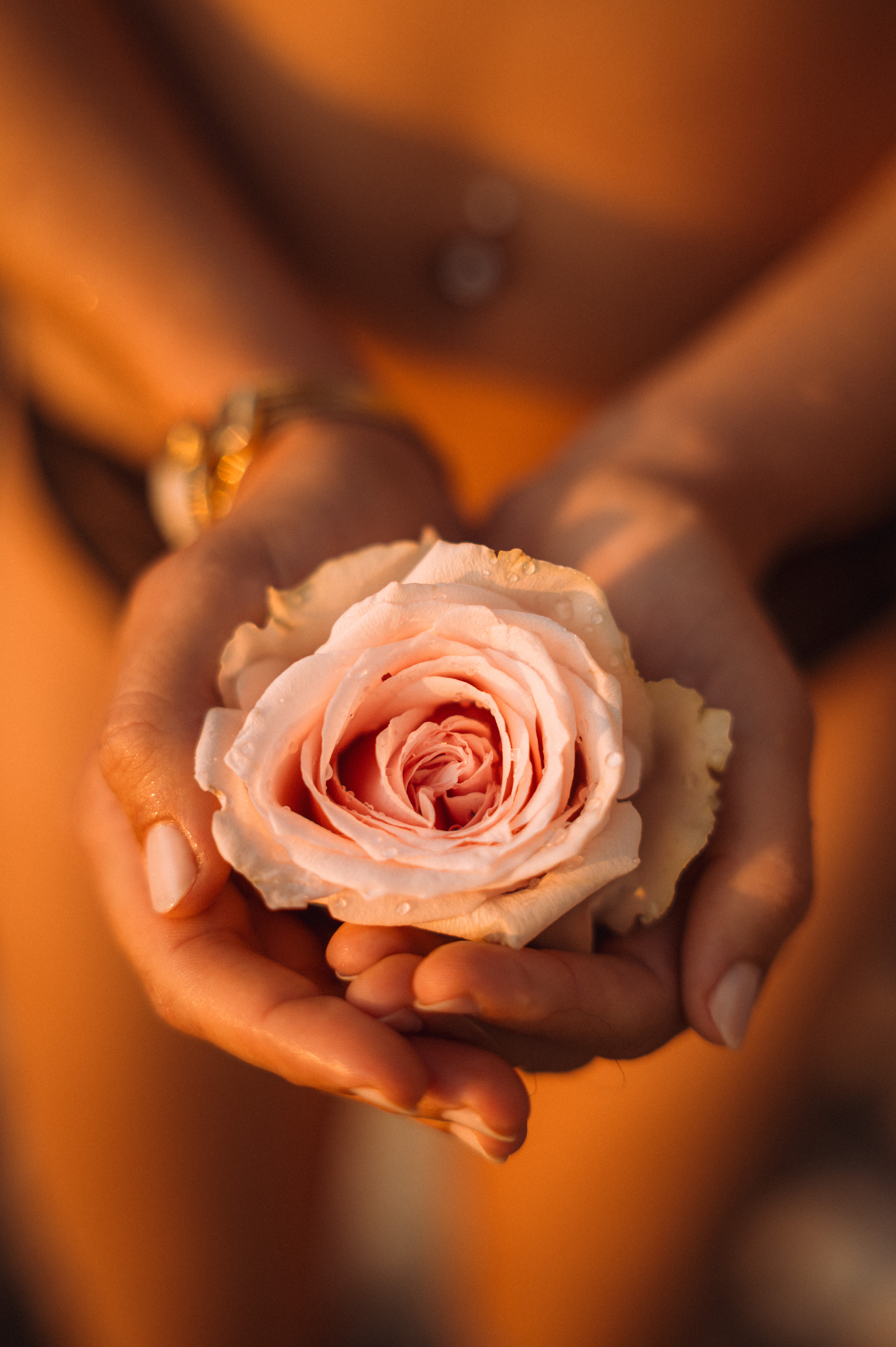 Blossom Photographie — Eclosion