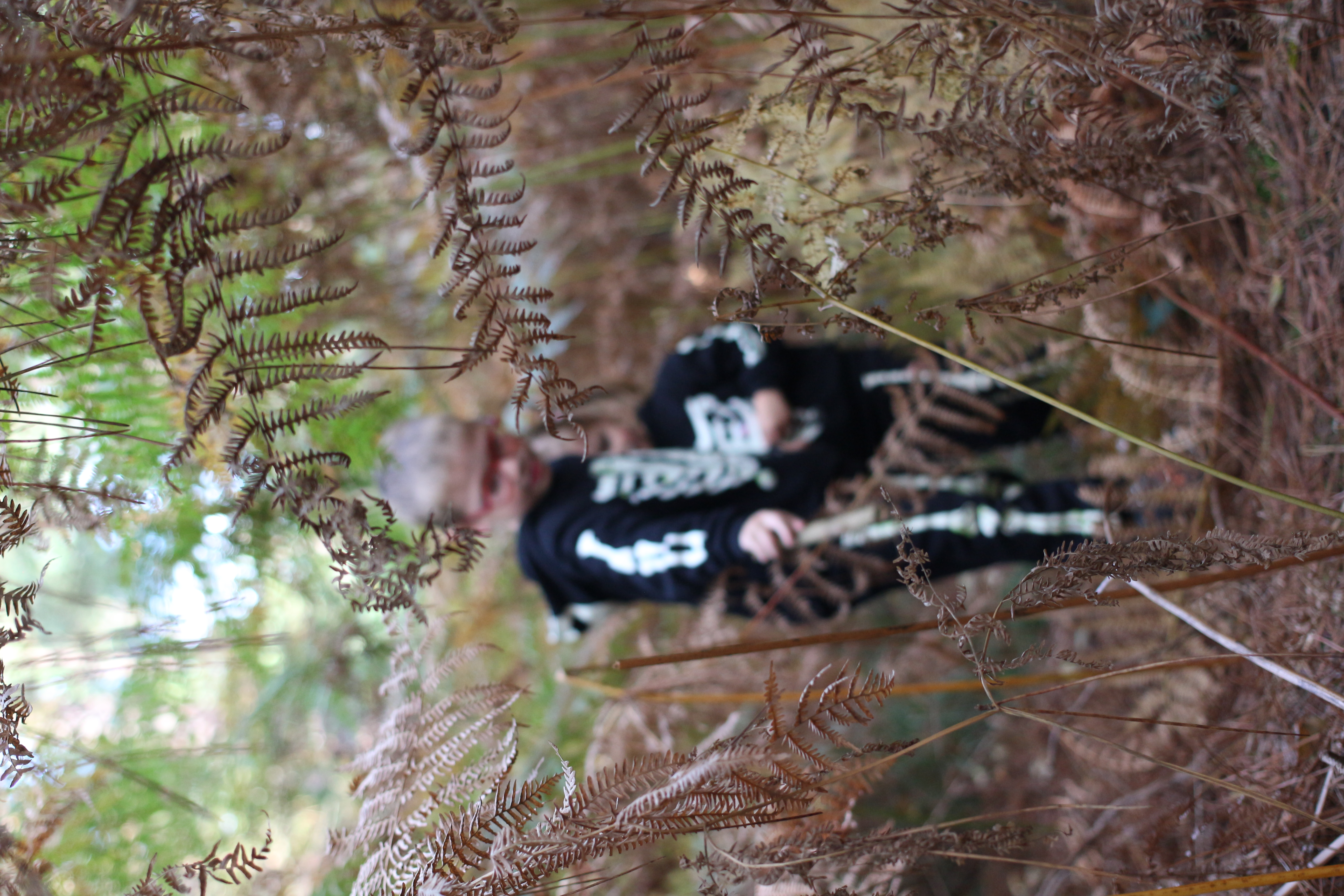 Lumeria Photo — portfolio 4