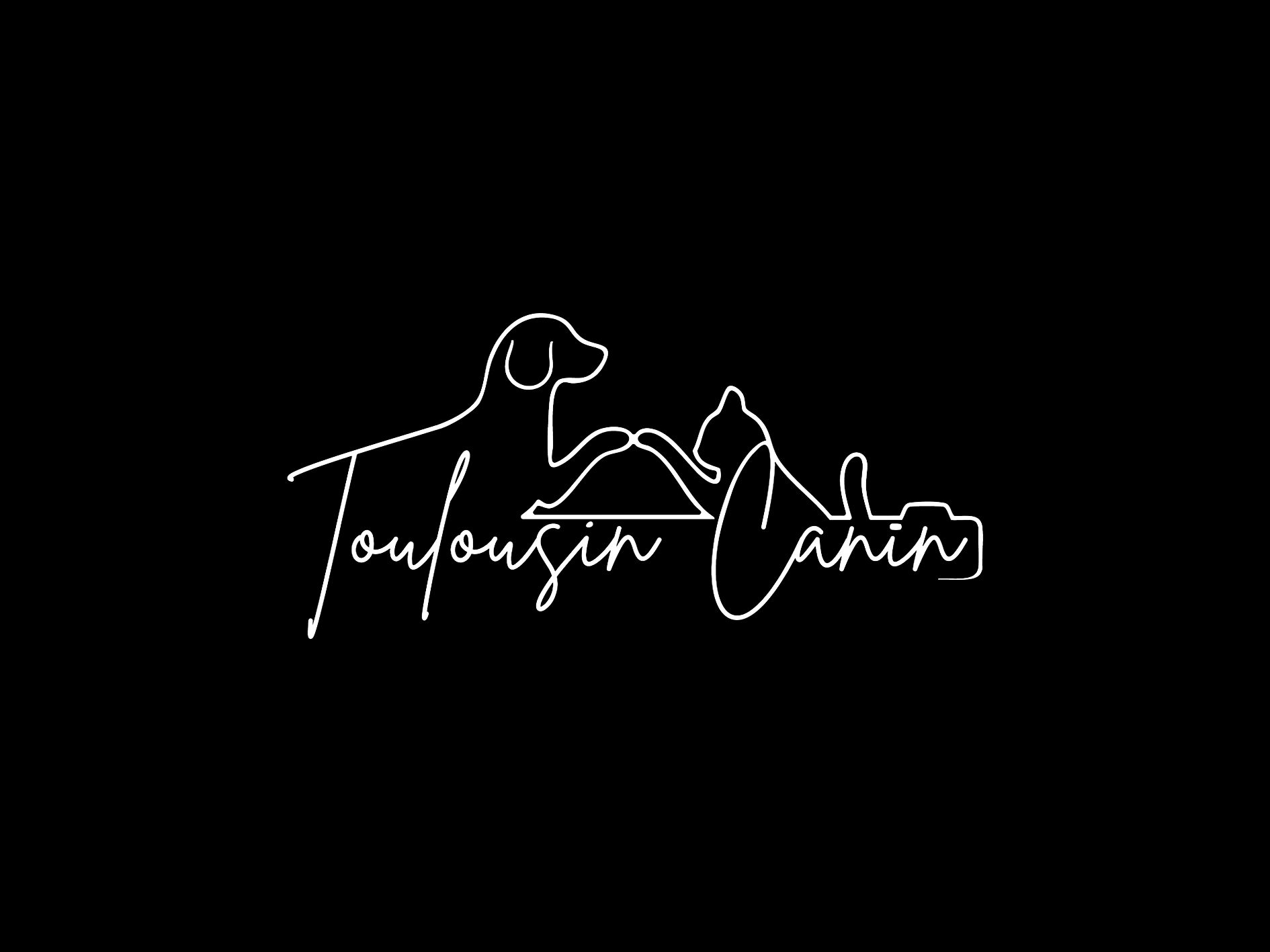 Toulousin Canin - Photographe canin — portfolio 1