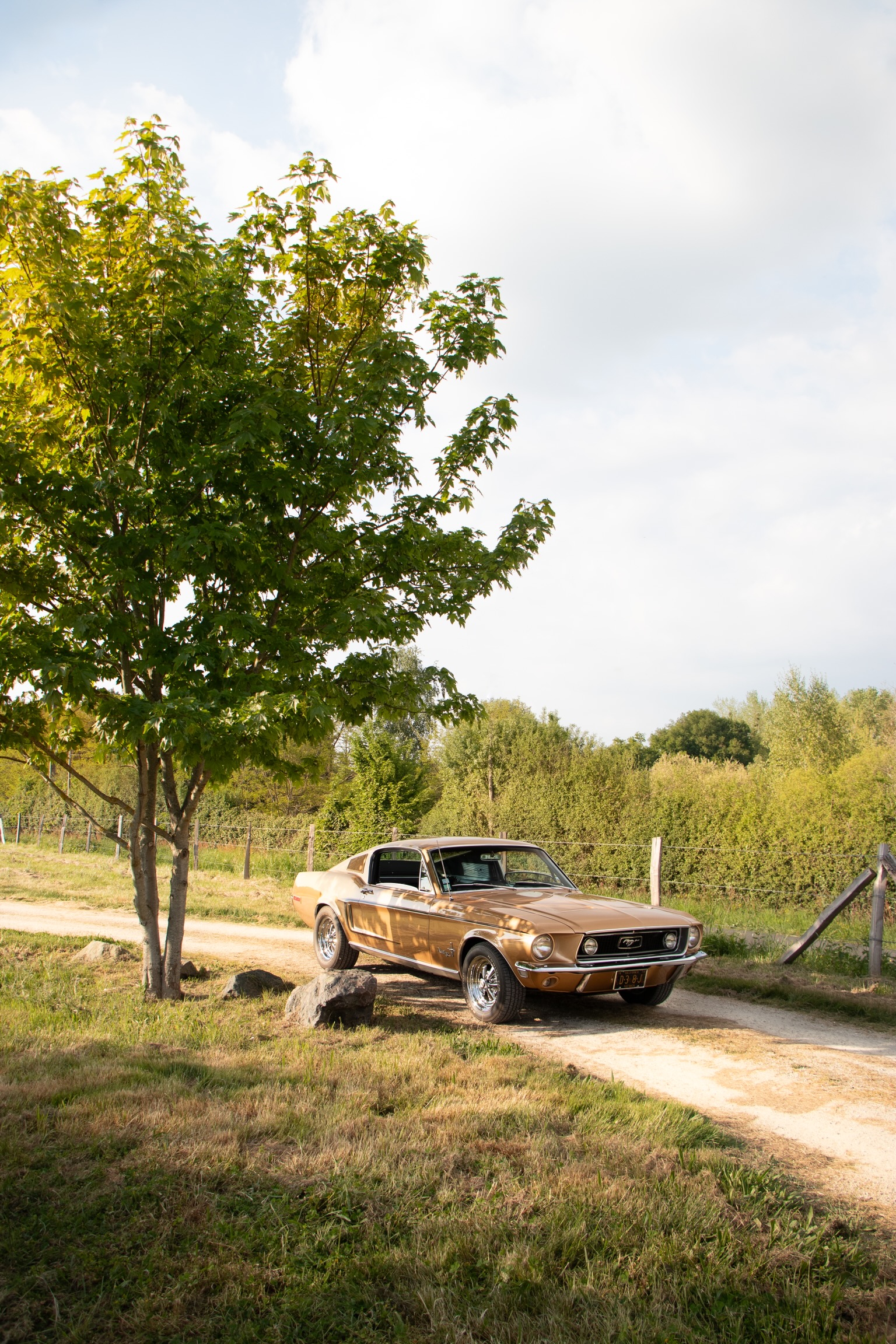 Noé L. photography - Photographe automobile - noe.lryr — portfolio 4
