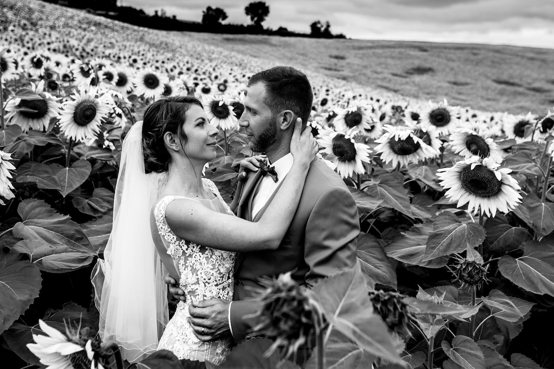 MJ photographers — portfolio 5